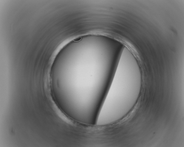 X0000114630808200910201020