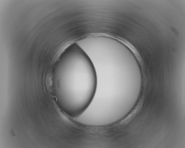 X0000114630809200910201020