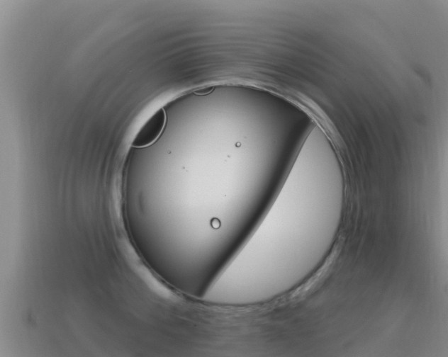 X0000114630812200910201020