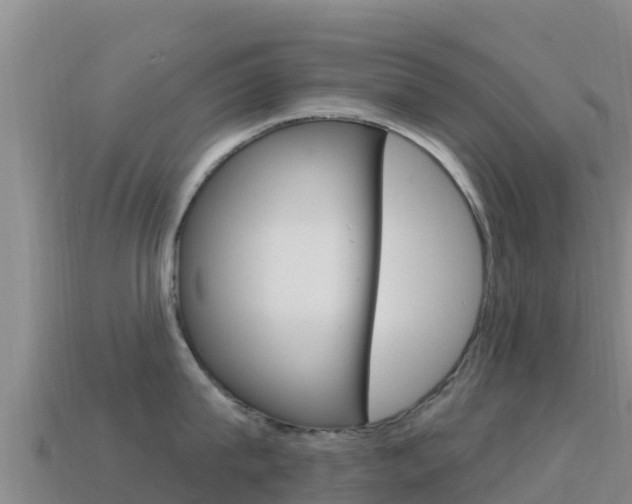 X0000114630815200910201020