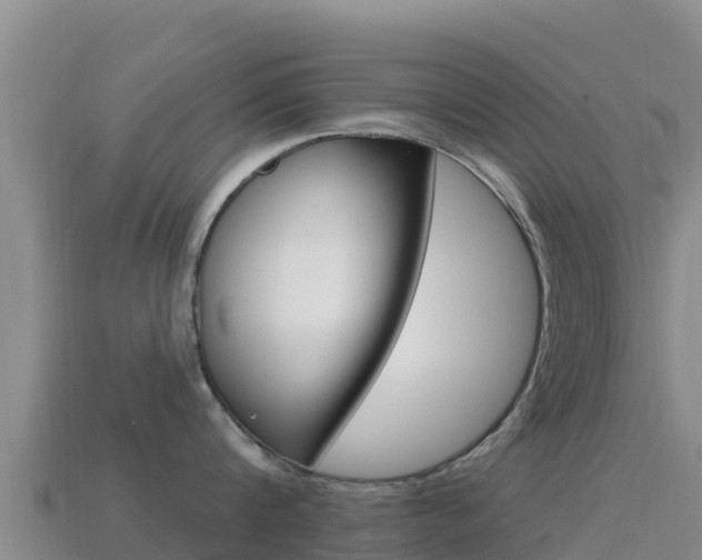X0000114630816200910201020