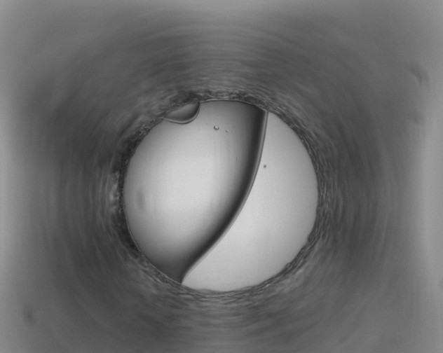X0000114630818200910201020