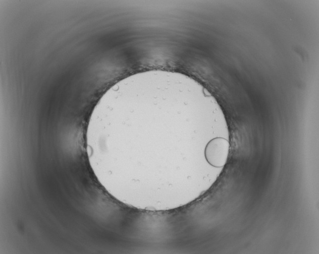 X0000114630820200910201020