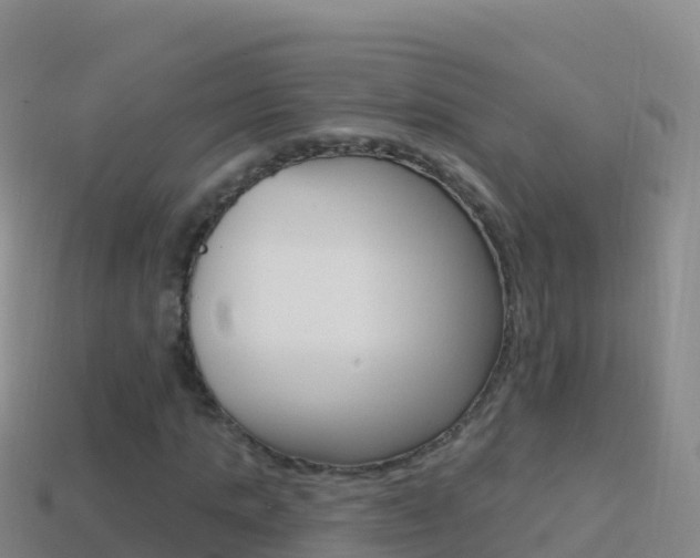 X0000114630821200910201020