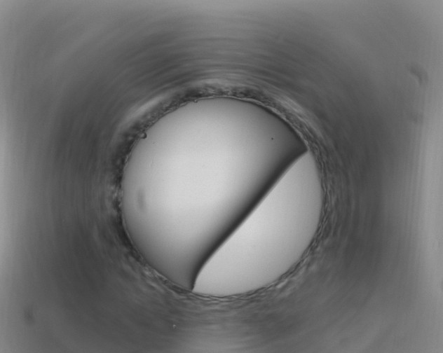 X0000114630822200910201020