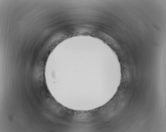 X0000114630824200910201020