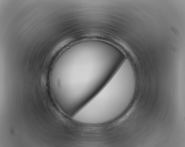 X0000114630826200910201020