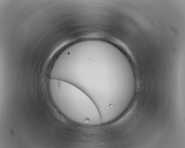 X0000114630827200910201020