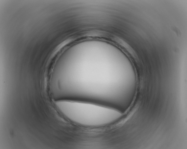 X0000114630829200910201020