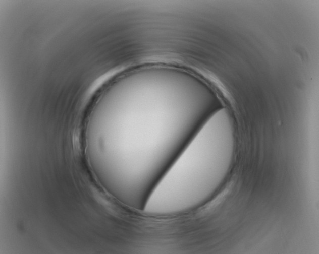 X0000114630830200910201020