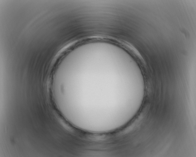 X0000114630831200910201020