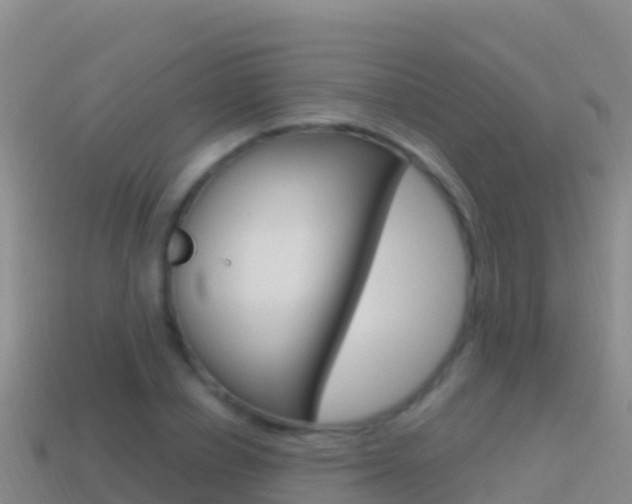 X0000114630834200910201020