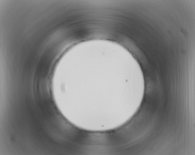 X0000114630836200910201020