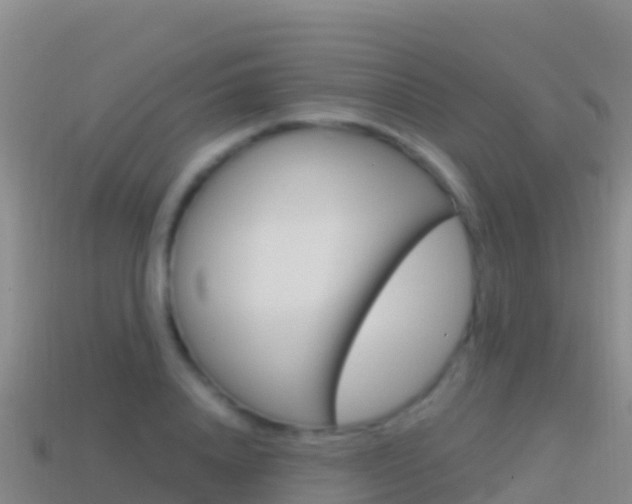 X0000114630840200910201020
