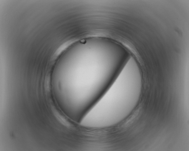 X0000114630842200910201020