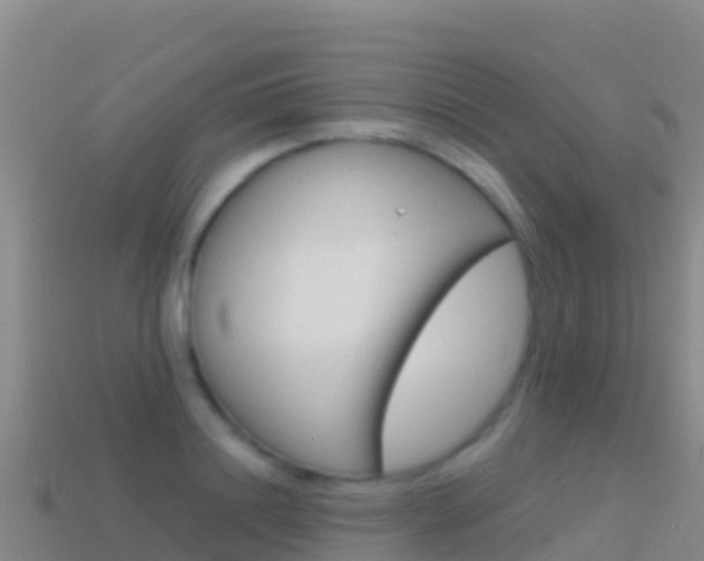 X0000114630844200910201020