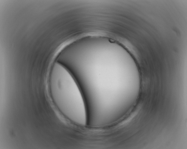 X0000114630845200910201020