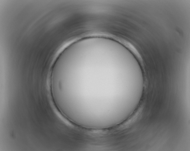 X0000114630847200910201020