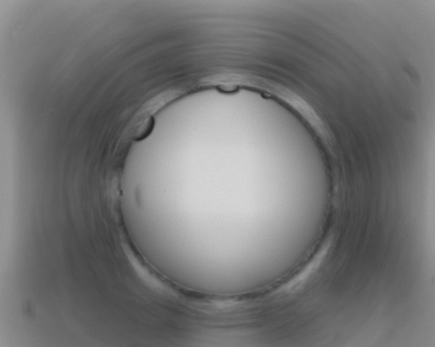 X0000114630849200910201020