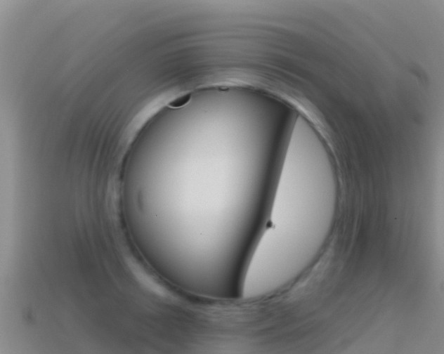 X0000114630850200910201020