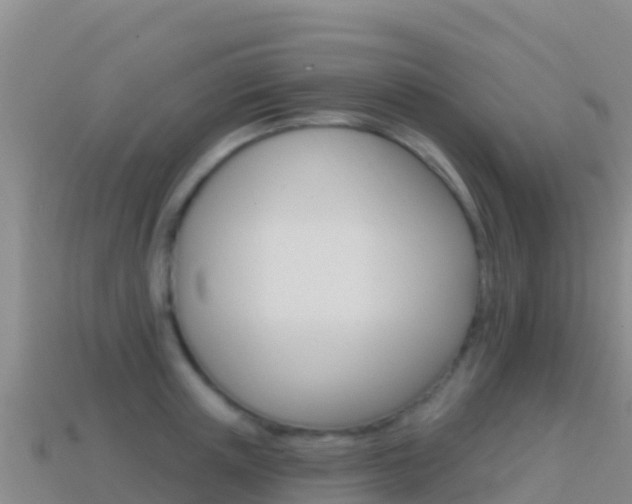 X0000114630851200910201020