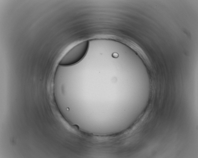 X0000114630852200910201020