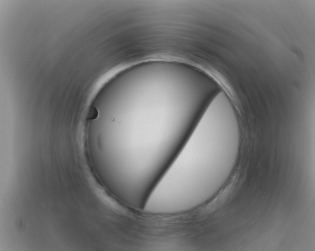 X0000114630854200910201020