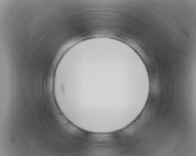 X0000114630856200910201020