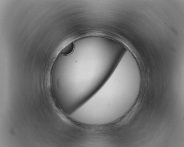 X0000114630858200910201020