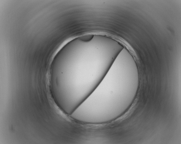 X0000114630860200910201020