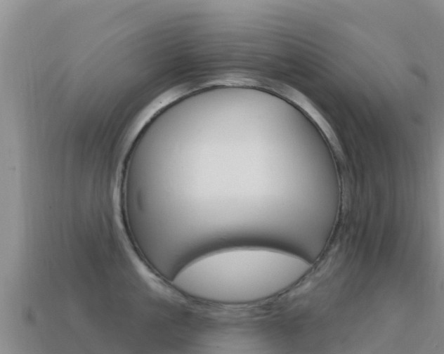 X0000114630861200910201020
