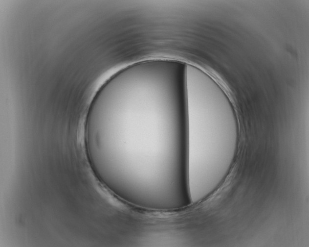 X0000114630862200910201020