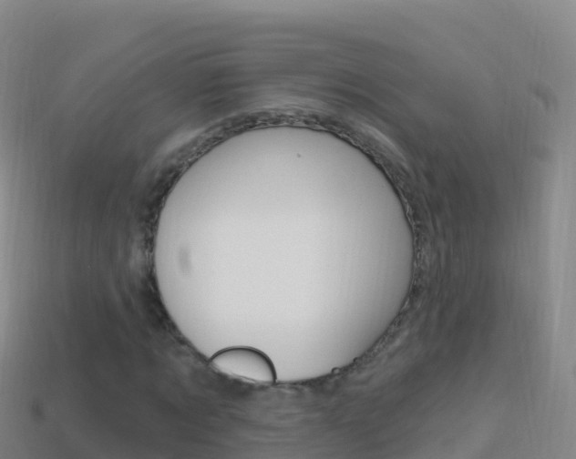 X0000114630869200910201020