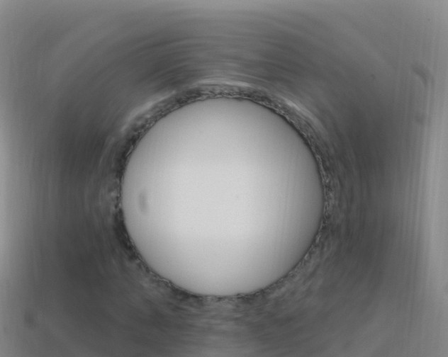 X0000114630870200910201020
