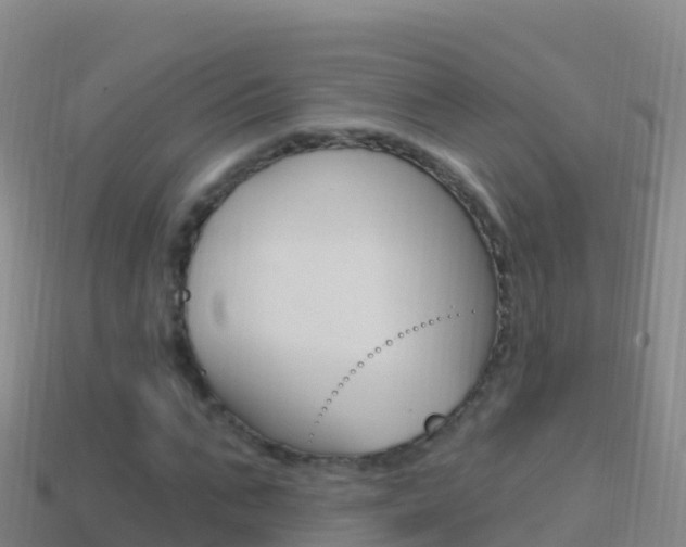 X0000114630871200910201020