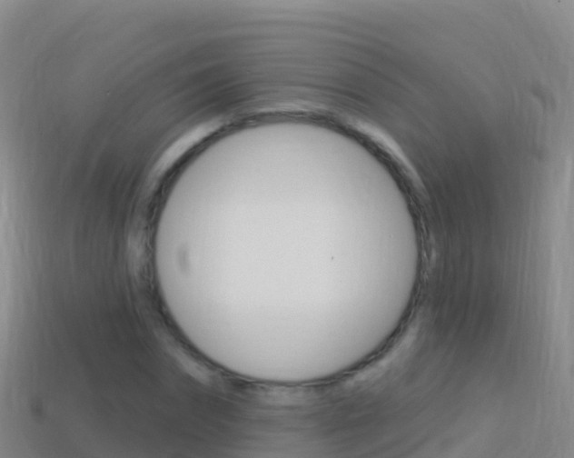 X0000114630874200910201020