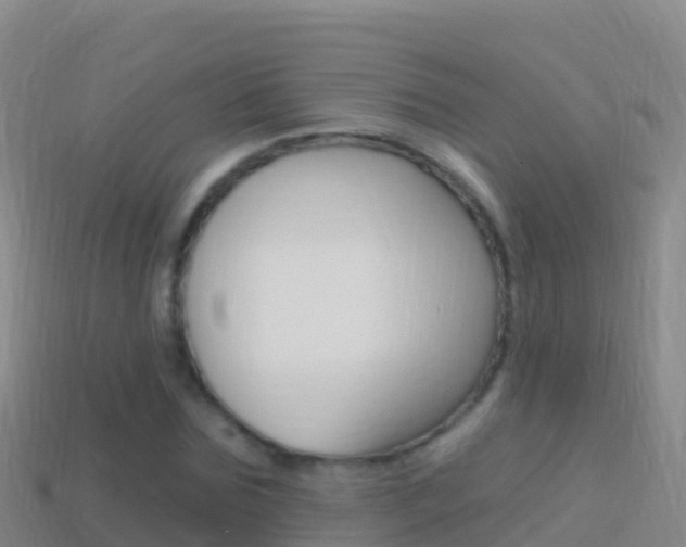 X0000114630875200910201020