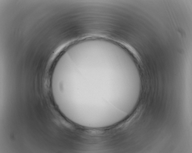 X0000114630878200910201020
