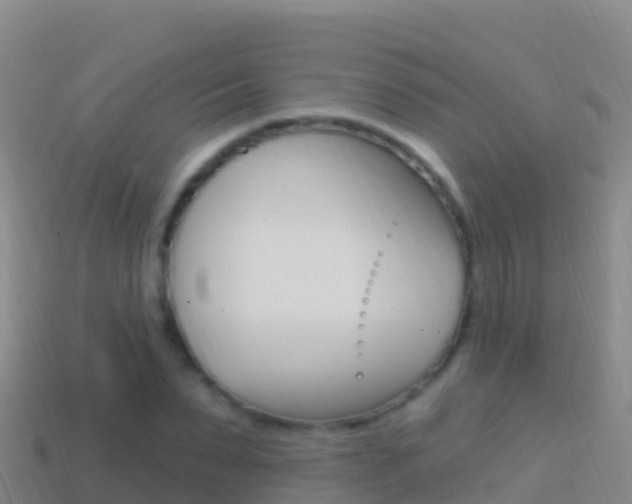 X0000114630879200910201020