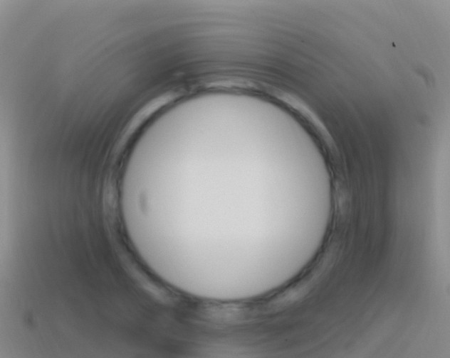 X0000114630882200910201019
