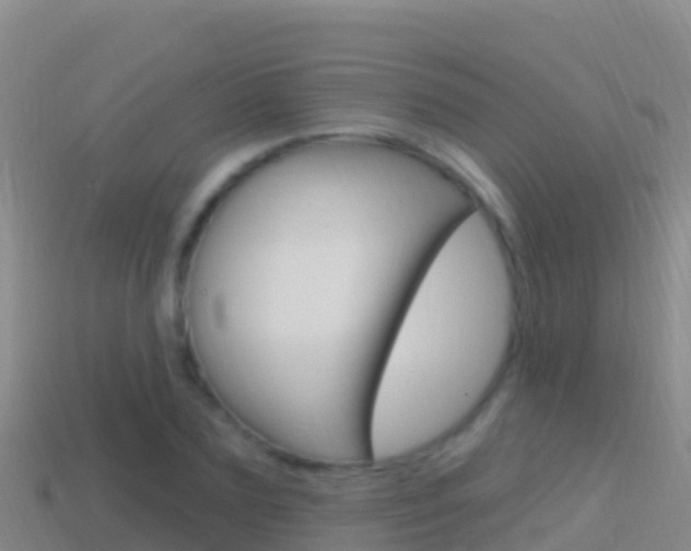 X0000114630883200910201019