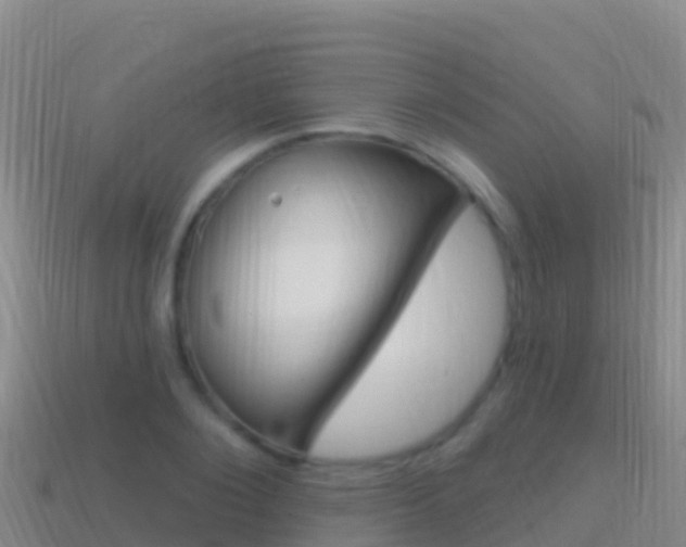 X0000114630884200910201019