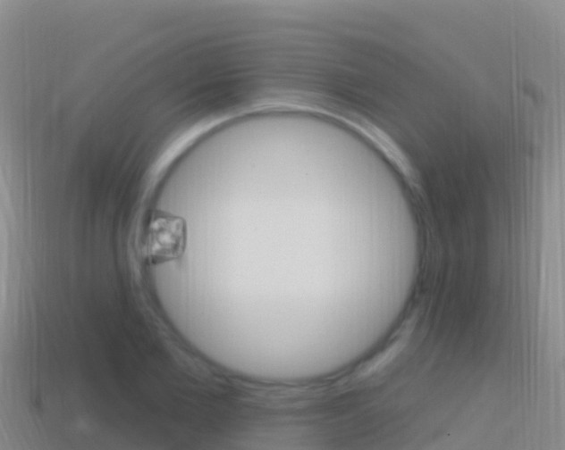 X0000114630885200910201019