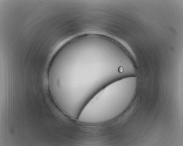 X0000114630887200910201019
