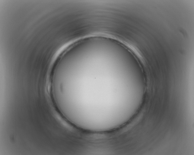X0000114630888200910201019