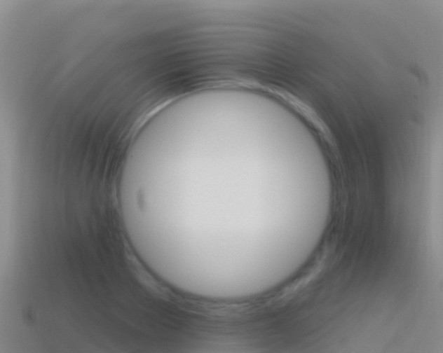 X0000114630889200910201019