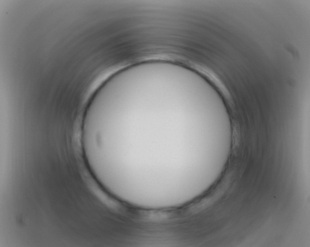 X0000114630890200910201019