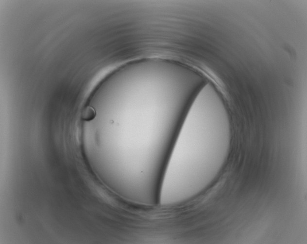X0000114630891200910201019