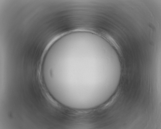 X0000114630892200910201019