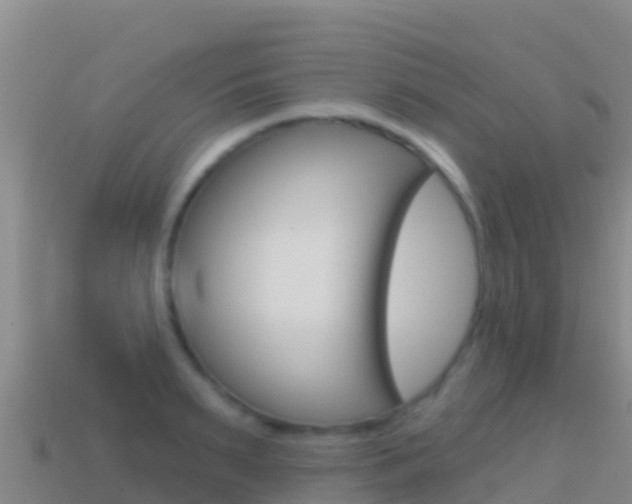 X0000114630895200910201019